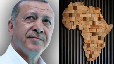 Erdogan and African map
